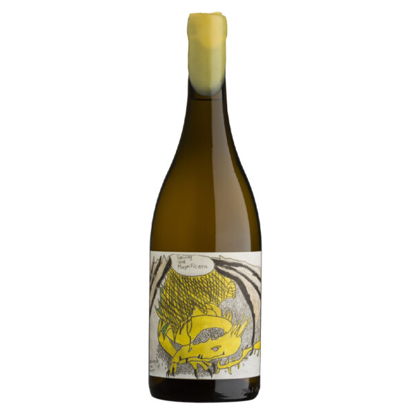 Blank Bottle - Smaug the Magnificent - 2022