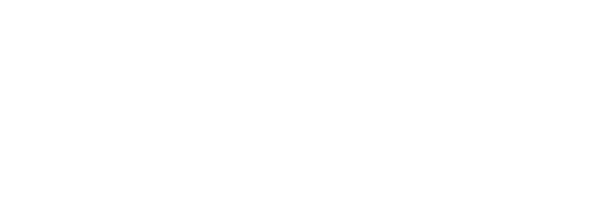 Logo Het Nieuwe Wijnhuys