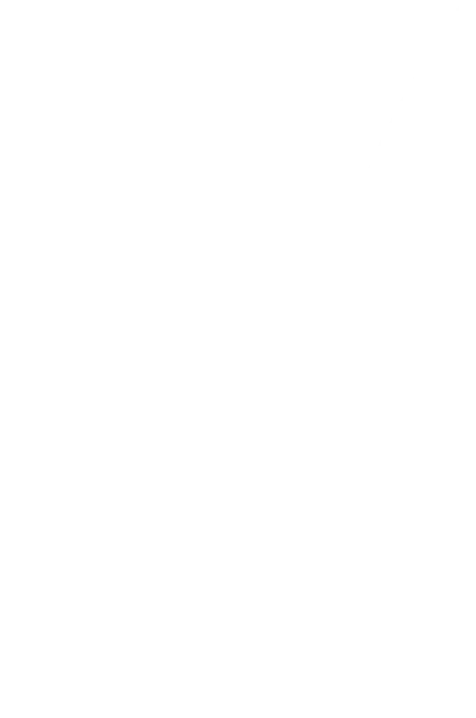 Het Nieuwe Wijnhuys Heteren Logo